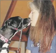  ?? LyNN CurwIN/Truro DaIly News ?? TeeJay gives Kim Cavanaugh a kiss. The two year-yearold dog was a member of a litter of 10 left at a shelter. She is now a trained service dog.