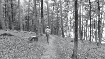  ?? Submitted photo ?? ■ A visitor to the new Electric Island Nature Trail at Lake Hamilton walks the path in the 118-acre island near Hot Springs, Ark. The trail will be dedicated Sept. 21 by the Arkansas Game and Fish Commission and The Nature Conservanc­y. Access to the island is by water, so the AGFC will open the event with a special float via kayak or motorboat shuttle beginning at 9 a.m. Sept. 21.