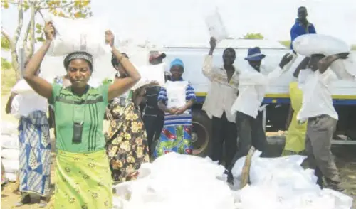  ??  ?? Cooperativ­es are quite common in Zambia as some of them are formed for the purpose of receiving farming inputs under the Farmer Support Programme.