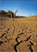  ??  ?? Cenários de seca extrema vão tornar-se mais frequentes