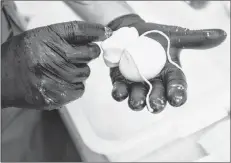  ?? RYAN TAPLIN / THE CHRONICLE HERALD ?? Cheesemake­r Ciro Comencini holds bag of burrata, which is mozzarella filled with a mixture of fresh cream and ricotta. The bag is tied off with string and then allowed to cool.