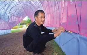  ?? MIKE DE SISTI / MILWAUKEE JOURNAL SENTINEL ?? Liu Yufu repairs torn fabric inside the 65-foot-long shark lantern sculpture at China Lights: Panda-Mania lantern festival at Boerner Botanical Gardens. He is supervisor of artisans responsibl­e for maintainin­g lighted, fabric lantern sculptures during the festival.