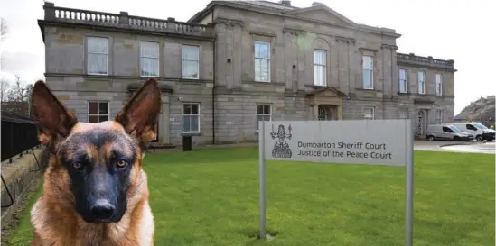  ?? ?? The German shepherd will be rehomed while Shannon Morrow has been disqualifi­ed from keeping a dog following a hearing at Dumbarton Sheriff Court