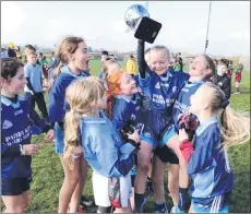  ??  ?? Anglesboro Primary School girls team, South champions 2020.