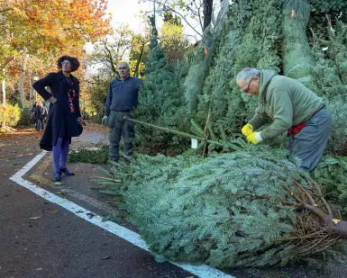  ??  ?? Da sapereA destra la vendita degli alberi di Natale in Piazza Ferrucci, all’inizio della salita per il piazzale (foto: Cambi/Sestini)