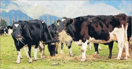  ?? Photo: FAIRFAX ?? Vital industry: Farming has propped up the New Zealand economy for well over a century.