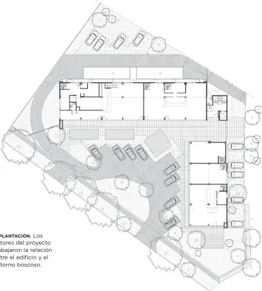  ??  ?? IMPLANTACI­ÓN. Los autores del proyecto trabajaron la relación entre el edificio y el entorno boscoso.