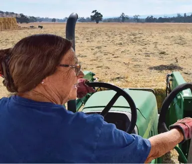  ??  ?? Marlene Thomason sets out toward the pasture to feed the heifers (above), and prepares to bottle-feed a calf (right).