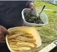  ?? ?? ANTARA makanan Orang Asli apabila tibanya musim tengkujuh.