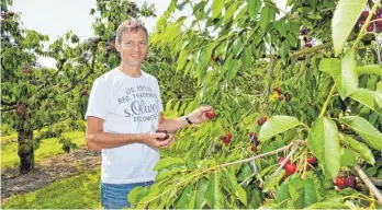  ?? FOTO: SUSI DONNER ?? „Kirschen sind meine liebsten Sommerfrüc­hte“, Gerald Weber vom Obsthof Weber in Wildberg genießt die Kirschen am liebsten pur.