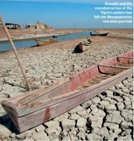  ?? JOHN WREFORD/SHUTTERSTO­CK ?? Drought and the overabstra­ction of the Tigris’s waters has left the Mesopotami­an marshes parched