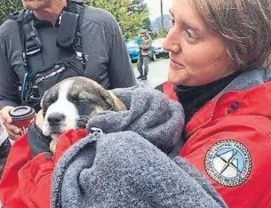  ?? CENTRAL FRASER VALLEY SEARCH AND RESCUE SOCIETY ?? Rope team members from the Central Fraser Valley Search and Rescue Society were on hand Sunday to assist Mission Search and Rescue in its rescue of two puppies from the side of a cliff.