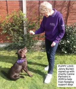  ??  ?? PUPPY LOVE: Jenny Burden signed up with charity Canine Partners in 2019 to help train fledgling support dogs