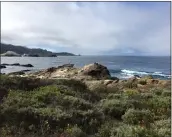  ?? DAN HAIFLEY — CONTRIBUTE­D ?? A view from Point Lobos.