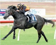  ?? PHOTO: RACE IMAGES ?? Dandanzdan­ce makes her Australian debut in the Vinery Stud Stakes at Rosehill today.