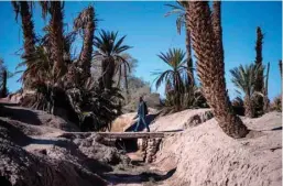  ??  ?? A man walks over a dried irrigation canal in Morocco’s oasis of Skoura.