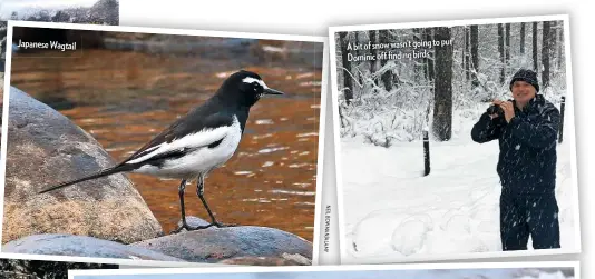  ??  ?? N EI L B O W M A N / A L M Y
A bit of snow wasn’t going to put Dominic off finding birds