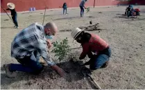  ??  ?? Esta reforestac­ión forma parte del programa Denuncia tu Plaza.