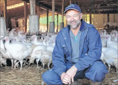  ?? MILLICENT MCKAY/JOURNAL PIONEER ?? Paul Larkin, half of the Larkin Bros., is proud to produce local turkeys and process the meat on the Island.