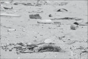  ?? Caandian Press photo ?? In this 2016 file image provided by the state of Hawaii, ocean debris accumulate­s in Kahuku, Hawaii on the North Shore of Oahu. Beyond simply piling up along the coast, discarded plastics that end up in the ocean could also be a major source of...