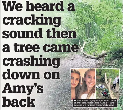  ??  ?? Amy Brooke (right) with pal Ffion Davies and the scene after a tree fell on her in the gardens of a National Trust stately home