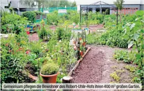  ??  ?? Gemeinsam pflegen die Bewohner des Robert-Uhlir-Hofs ihren 400 m2 großen Garten.