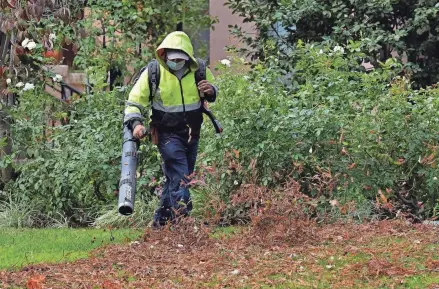  ?? AP ?? Wait to remove leaves and stalks until spring temperatur­es have become consistent­ly warmer, since they provide shelter for beneficial insects over the winter.