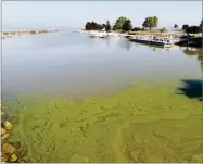  ?? AP PHOTO BY PAUL SANCYA ?? Algae floats in the water at the Maumee Bay State Park marina in Lake Erie in Oregon, Ohio, on Friday, Sept. 15. Pungent, ugly and often-toxic algae is spreading across U.S. waterways, even as the government spends vast sums of money to help farmers...