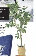  ??  ?? Ideal Home Freydis floor Lamp, £99.99; Hudson Living nest of rables, currently reduced from £169 to £149; Luxe Collection, genuine sheepskin wool Rug, Single, £59.99, Very.co.uk Medium ficus tree £69, Marks &amp; Spencer