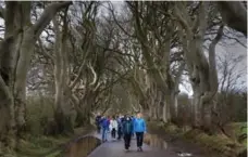  ?? RICK MCGINNIS PHOTOS FOR THE TORONTO STAR ?? The Dark Hedges is a road lined with ancient beech trees. The famous path was the Kingsroad in a Season 2 episode of Game of Thrones.