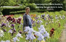  ??  ?? Nurserywom­an Claire Austin is opening her gardens in June.