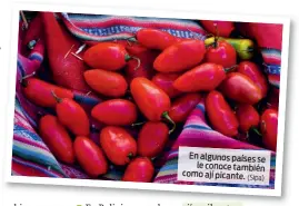  ?? (Sipa) ?? En algunos países se le conoce también como ají picante.