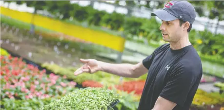  ?? DAX MELMER ?? Andrew Capogna of Capogna Flowers, talks about the various herbs for sale at his greenhouse on Talbot Road in Kingsville.