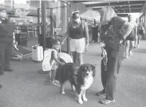  ?? JESSICA HILL/SPECIAL TO THE COURANT ?? Bright Spot volunteer Sally King, right, talks with Amanire, 3, and her mother, Nassengae Stewart, of Orlando, with therapy dog Willie at Bradley Internatio­nal Airport.
