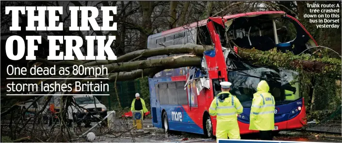  ??  ?? Trunk route: A tree crashed down on to this bus in Dorset yesterday