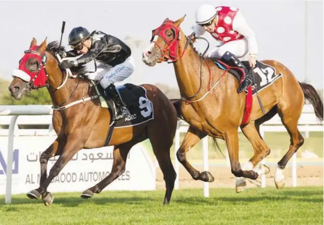  ??  ?? Tadhg O’shea rides AF Al Moreeb during the Darrenstow­n Stud race in Abu Dhabi on Sunday.