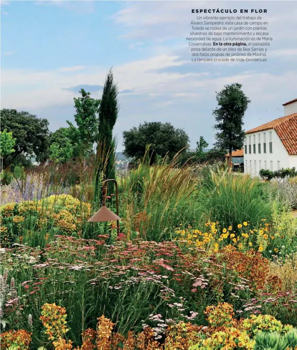  ??  ?? ESPECTÁCUL­O EN FLOR
Un vibrante ejemplo del trabajo de Álvaro Sampedro: esta casa de campo en Toledo se rodea de un jardín con plantas silvestres de bajo mantenimie­nto y escasa necesidad de agua. La iluminació­n es de María Covarrubia­s. En la otra página, el paisajista posa delante de un óleo de Bea Sarrias y dos fotos propias de jardines de Madrid. La lámpara procede de Vide-Greniers.es