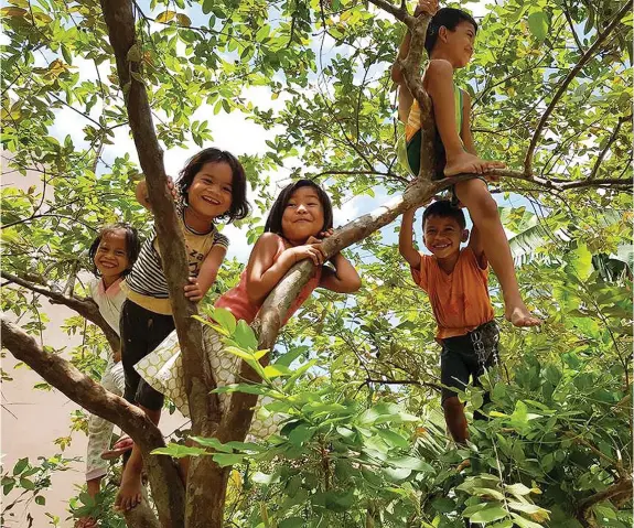  ?? FRED LANGUIDO ?? Seeing children climb trees for fun and play on weekends is a refreshing site in this digital age. For many born before mobile phones and gadgets, this was a major barkada goal, a real happiness.