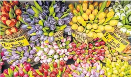  ?? Picture: Shuttersto­ck. ?? European flower producers have sought a special aid package from Brussels.