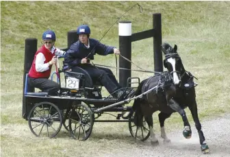  ??  ?? Section C Welsh Pony of Cob Type Cefnoakpar­k Bouncer, owned by Wayne Humphreys, was driven to victory by Suzy Stafford in the 2005 Single Ponies Championsh­ip at the 2005 FEi World Combined Pony Driving Championsh­ips.