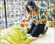  ??  ?? ‘Right now, it’s soothing for me to give extra attention to Czar and soothing for him to get it,’ says marketing executive Prerna Uppal.