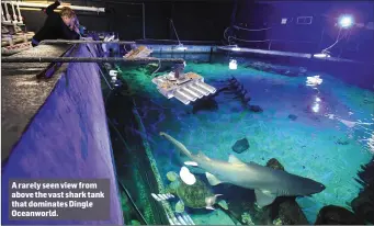  ??  ?? A rarely seen view from above the vast shark tank that dominates Dingle Oceanworld.