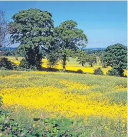  ?? Picture: Getty. ?? The report looked at how future policy and support mechanisms could benefit environmen­tally and economical­ly sustainabl­e farming.