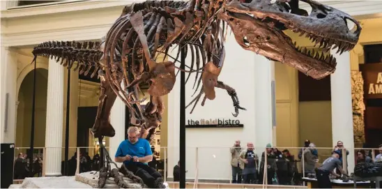  ?? | ASHLEE REZIN/ SUN- TIMES ?? The FieldMuseu­mbegan the monthlong de- installati­on of Sue on Monday. The T. rex will bemoving to the museum’s Griffin Halls of Evolving Planet.