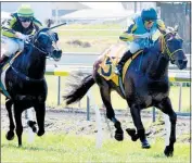  ?? Photo / Peter Rubery, Race Images ?? Santa Monica bursts clear to score at New Plymouth in the hands of apprentice jockey Darren Danis.