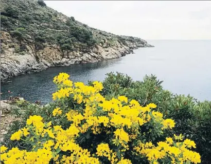  ?? PERE DURAN / NORD MEDIA ?? Els aerogenera­dors s’instal·larien 24 km mar endins. A la imatge, el paratge de punta Falconera de Roses