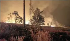  ?? FREIWILLIG­E FEUERWEHR PößNECK ?? Mehr als 250 Hektar Wald stehen bei Saalfeld in Flammen.