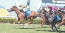  ??  ?? Wind In The Willow, sporting the famous Arrowfield black and yellow diamond racing silks, wins at Aquis Park.
