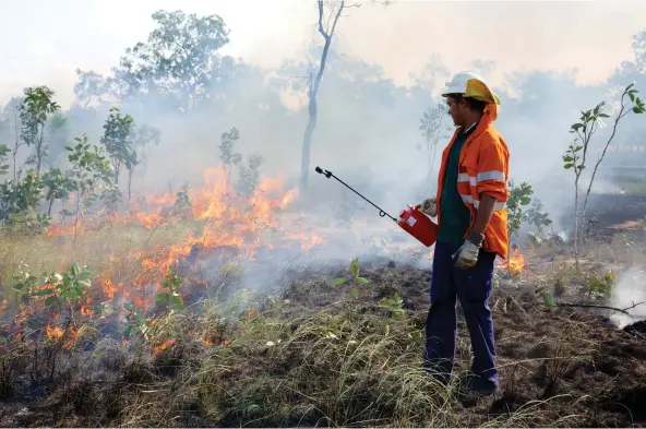  ??  ?? On Cape York Peninsula, QLD, Kunjen man Stafford Yam conducts a controlled burn in winter to prevent summer bushfires that release far more carbon.