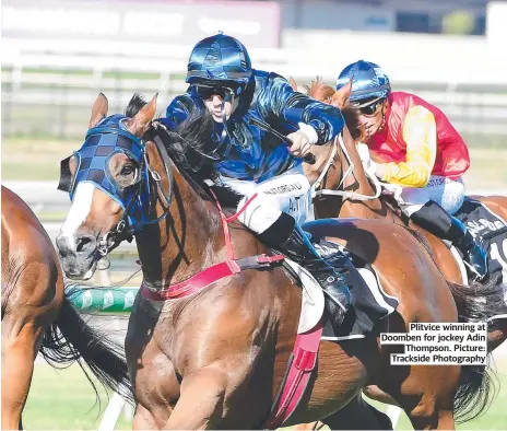  ?? Picture: Trackside Photograph­y ?? Plitvice winning at Doomben for jockey Adin Thompson.